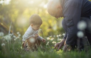 Großvater sitzt mit kleinem Jungen auf Wiese mit Pusteblumen